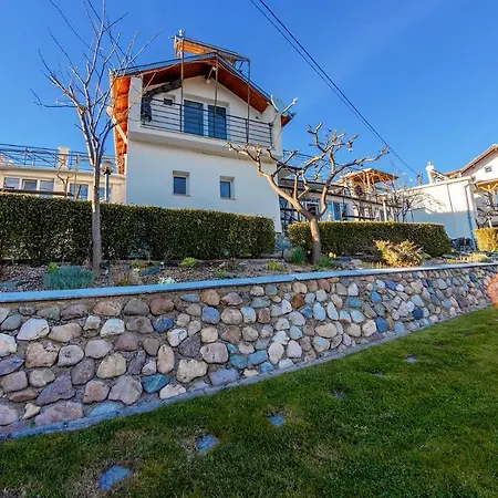 Lisets * Gorna Brestnitsa