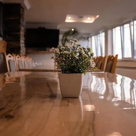 Lisets Gorna Brestnitsa