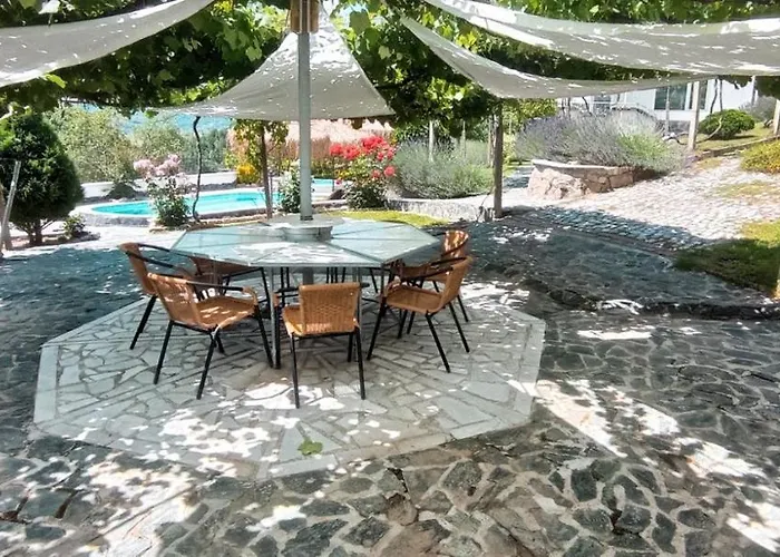 Lisets * Gorna Bryestnitsa